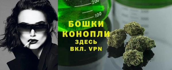 ГАЛЛЮЦИНОГЕННЫЕ ГРИБЫ Краснотурьинск
