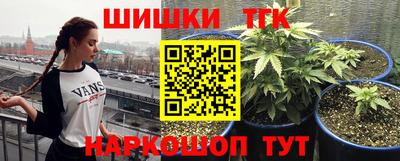 винт Бийск