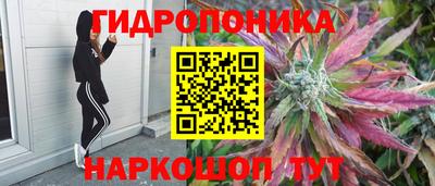 каннабис Берёзовский